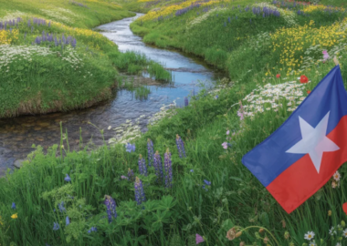 Wiślackie Newsy fot. Ideogram